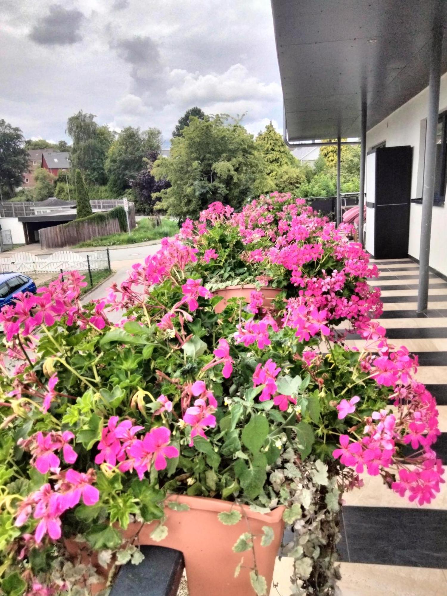 Komfort-Ferienwohnung Mit Ostseeblick ,Entspannung Flensburgo Exterior foto